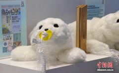 HICOOL2025全球创业者峰会正在